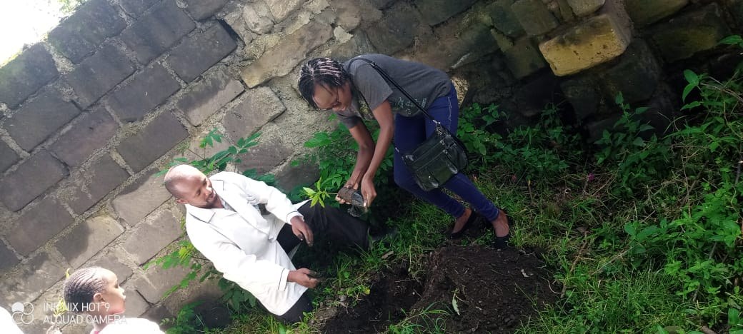 Community tree planting